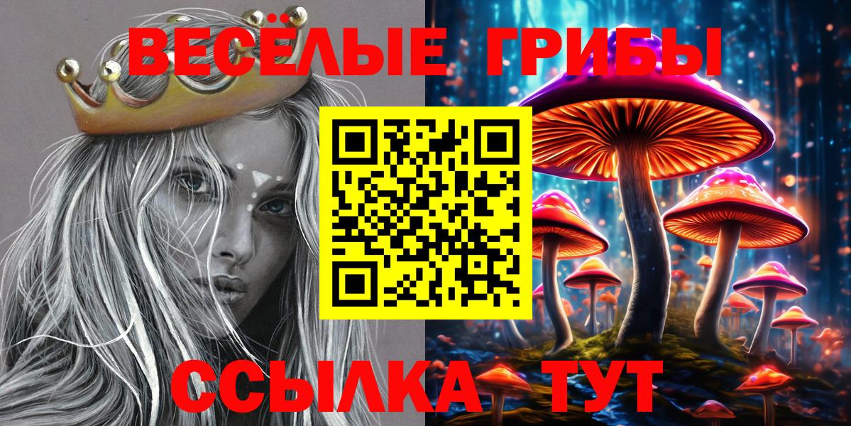 Калач-на-Дону  Галлюциногенные грибы Psilocybe  Псилоцибиновые грибы мухоморы  Вход с VPN 